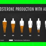 Рівень тестостерону гормону